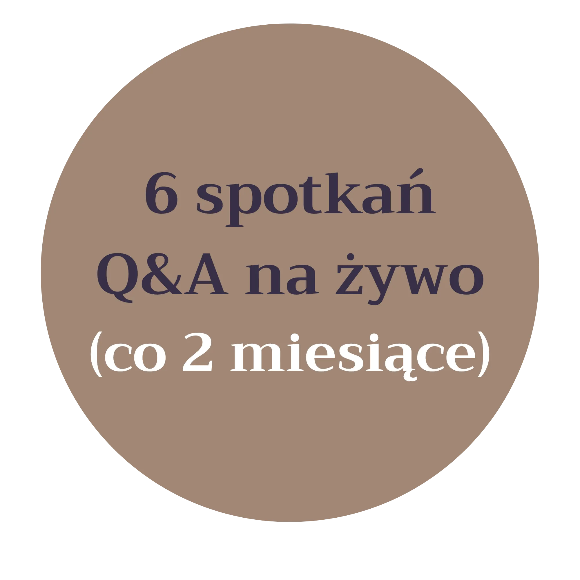 6 spotkań Q&A na żywo (co 2 miesiące) - worqAssist Wsprarcie w trakcie kursu